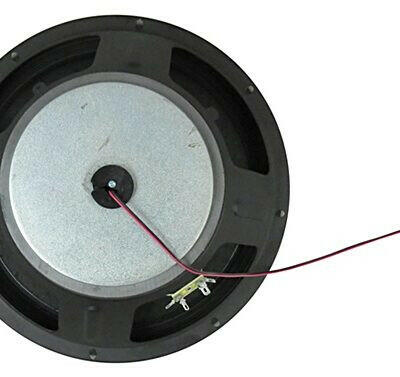 Woofer 12" 300W 4ohm (30cm)