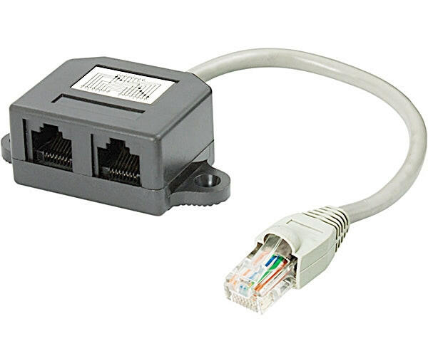 Adaptador Rede 8V/8C RJ45 Macho / 2xFêmea 20cm-Fichas e cabos-SMI-Music Stage