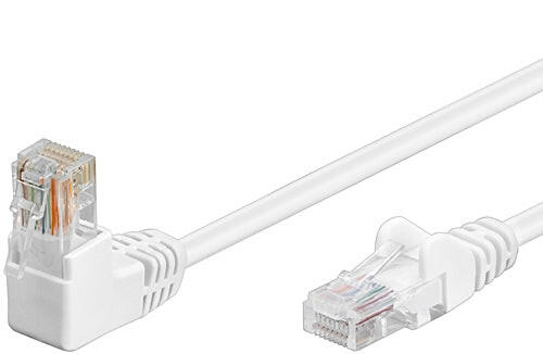 Cabo UTP CAT6 2mt (Curvo/Recto)-Fichas e cabos-SMI-Music Stage
