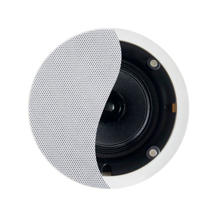 Coluna Tecto 100V 5" 20W