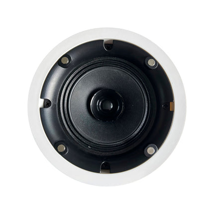 Coluna Tecto 100V 5" 20W