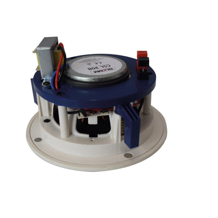 Coluna Tecto 100V 5" 12W