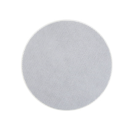Coluna Tecto 100V 5" 12W