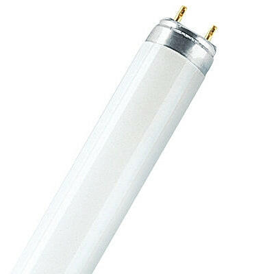 Lâmpada Fluorescente Tubo 120cm T8 36W /865-Iluminacao e led-Osram-Music Stage