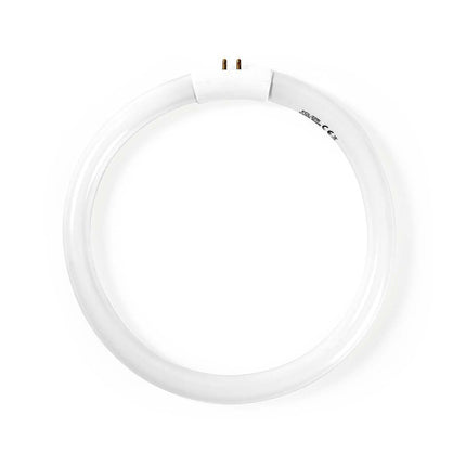 Lâmpada para Candeeiro Bancada LAMP21 - Luz Branca-Iluminacao e led-SMI-Music Stage