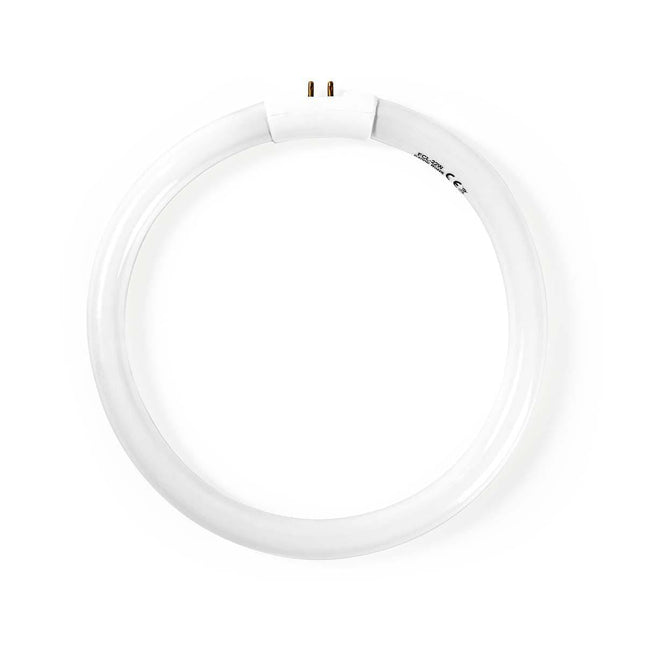 Lâmpada para Candeeiro Bancada LAMP21 - Luz Branca-Iluminacao e led-SMI-Music Stage