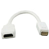 Adaptador HDMI Fêmea / Mini DVI 20cm