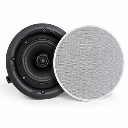 Coluna Tecto 100V 6,5" 30W