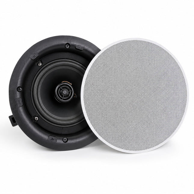Coluna Tecto 100V 6,5" 30W