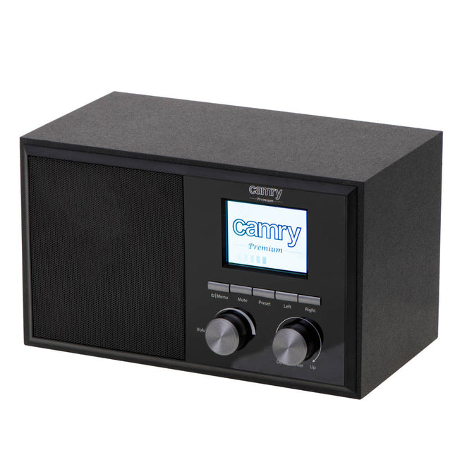 Radio DAB Internet-Pequenos Domesticos-CAMRY-Music Stage