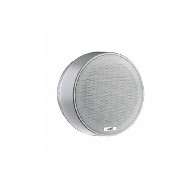 Coluna 6,5" 10W L100V
