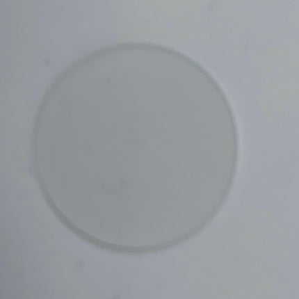 Scorpio BSW HP Frost Glass-Fos-Music Stage