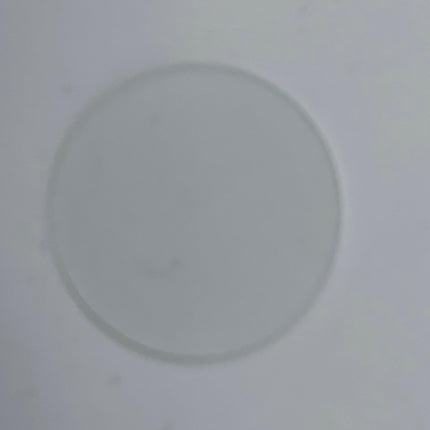 Scorpio BSW HP Frost Glass-Fos-Music Stage