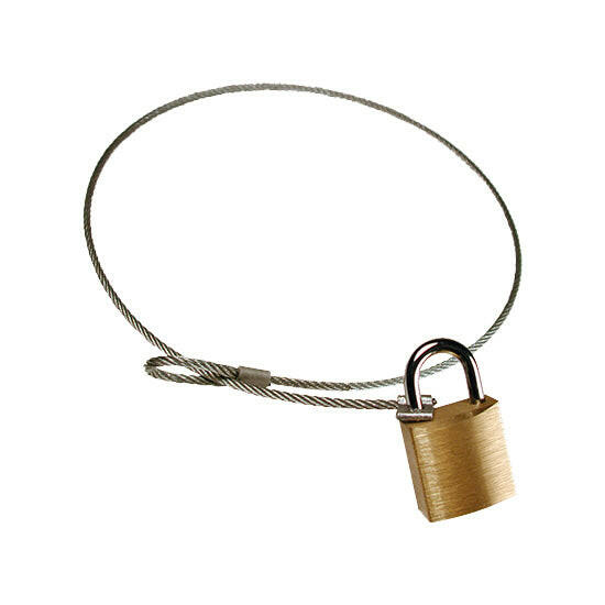 Cabo de Segurança em Aço 45cm-Suportes av-SMI-Music Stage
