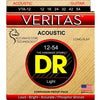 Dr VTA-12 VERITAS