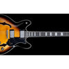 Hagstrom VIKING TSB