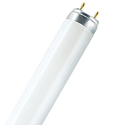 Lâmpada Fluorescente Tubo 60cm T8 18W /840-Iluminacao e led-SMI-Music Stage