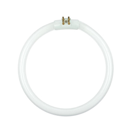 Lâmpada Fluorescente Circular 22W / 220V-Apoio tacnicobricol-Nimo-Music Stage