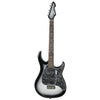 Peavey RAPTOR® CUSTOM SILVERBURST